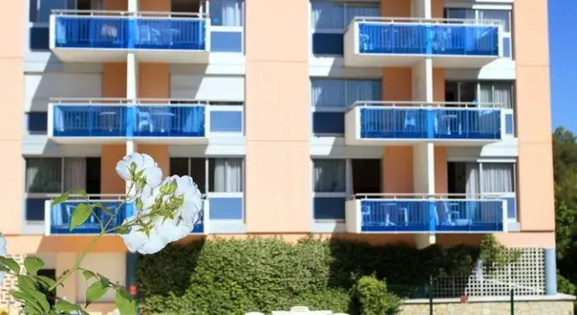 Les Agapanthes
