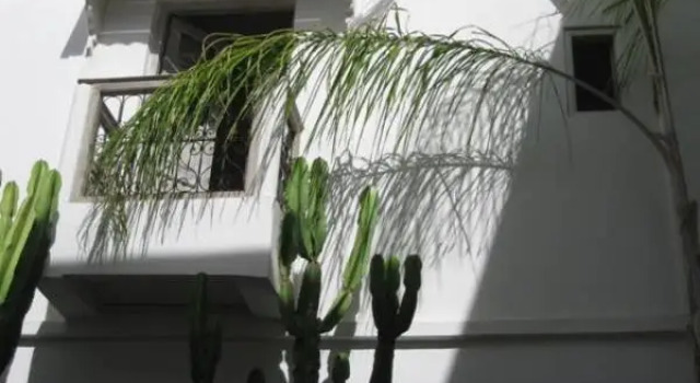 Suite familiare Riad O2