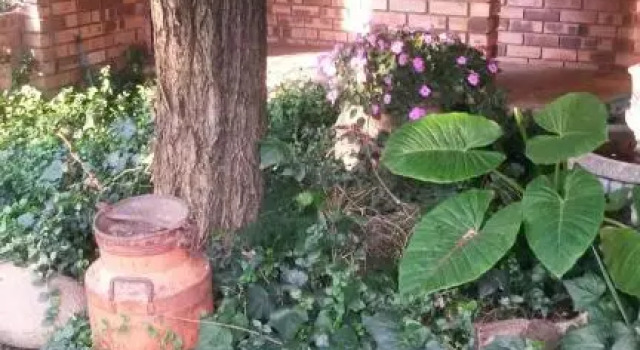 Vaal River Guest House