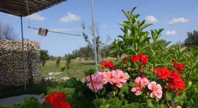 Двухместный номер Standard Giardino del Tempo