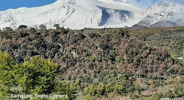Коттедж Taormina - Etna