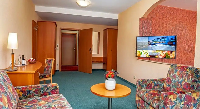 Номер Standard с видом на парк Hotel Am Kurhaus mit erstem Ayurveda Center Sachsens - direkt am Gesundheitsbad ACTINON & Kurpark