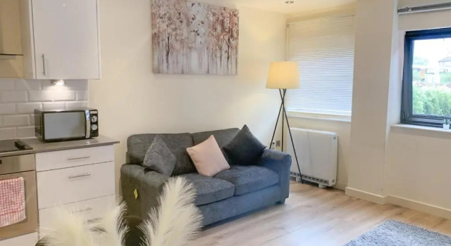 Апартаменты c 1 комнатой Morland House Apartments