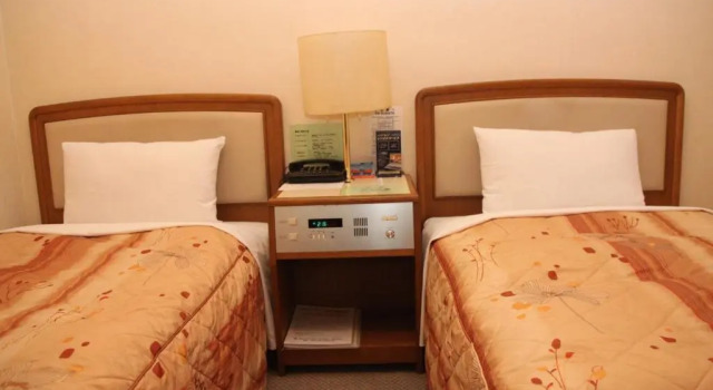 Двухместный номер Business Hotel Nissei