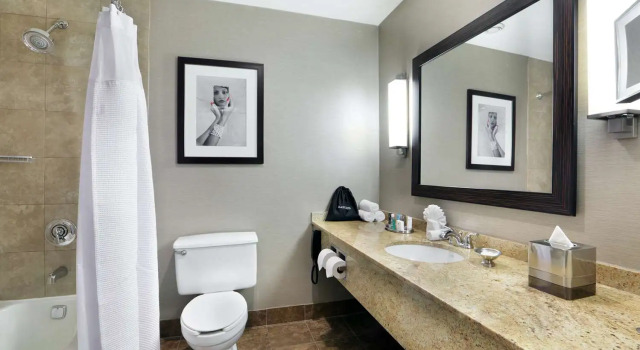 Номер Deluxe The Verve Boston Natick, Tapestry Collection by Hilton
