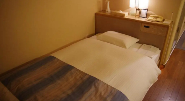 Одноместный номер Standard Gifu Castle Inn
