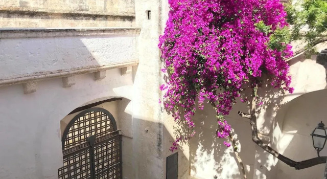 La Corte dei Mille