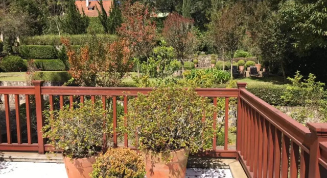 Люкс Premium Roots Resort