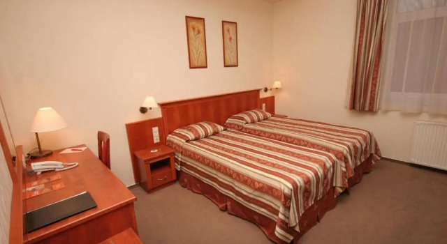 Standard dublă cameră Hotel Central
