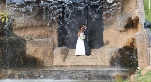Ducks Crossing on Burton, Book Hotel Eleebana New South Wales