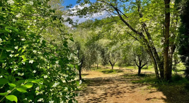 Коттедж Podere il Casone