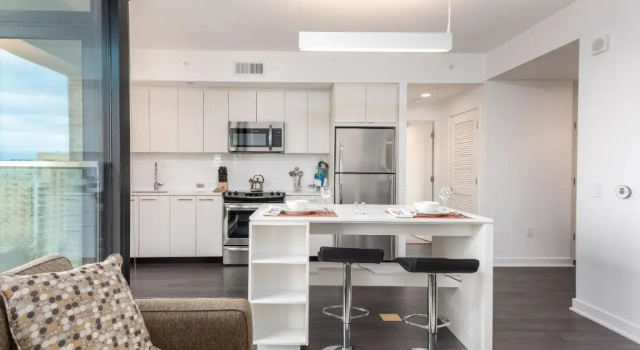 Апартаменты Luxury с 2 комнатами Bluebird Suites at Reston Town Center