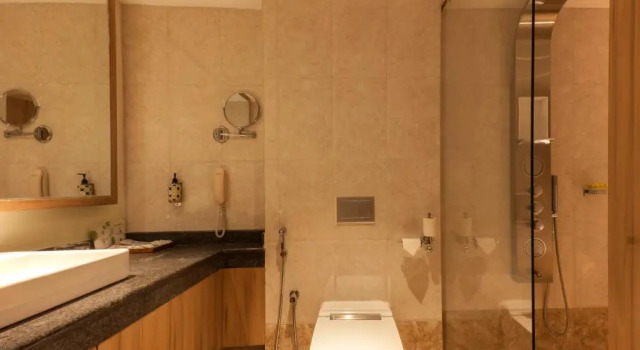 Люкс Executive Lemon Tree Premier, Patna