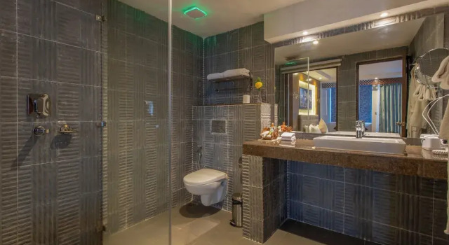 Полулюкс Hotel Sarathi