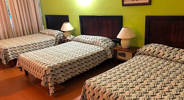 Трёхместный номер Standard New Garden Hotel