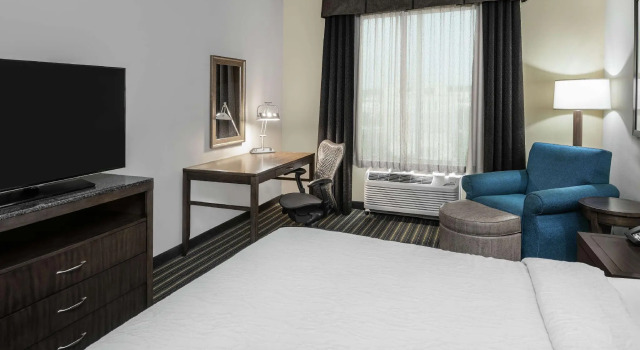 Двухместный номер Hilton Garden Inn San Antonio At The Rim