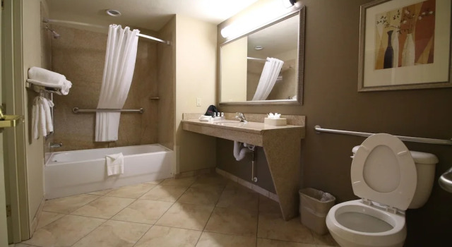 Двухместный люкс Seffner Inn and Suites