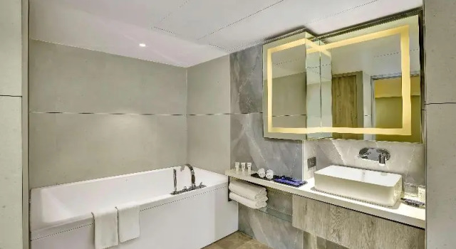 Люкс Standard Park Inn by Radisson Surat