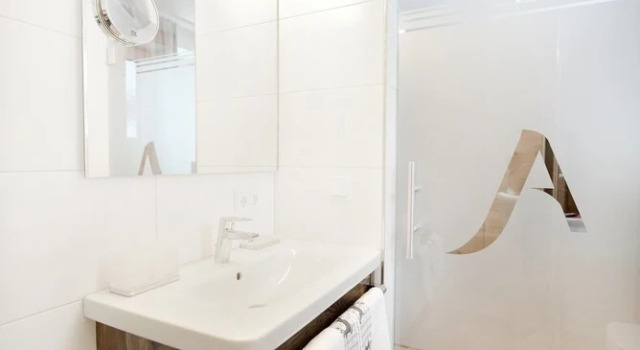 Одноместный номер Comfort Hotel Alpina Superior