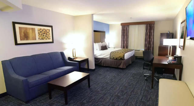 Люкс Best Western Plus Flint Airport Inn & Suites