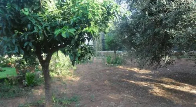 Appartamento da Anna, Buchen Sie Ferienwohnung Hotels in Porto Cesareo mit Parkplatz, Parkplätze