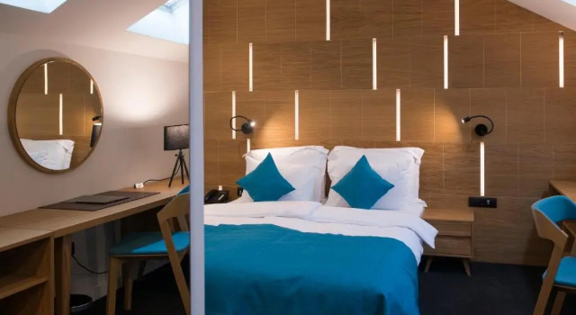 Двухместный номер Standard Hotel Sana