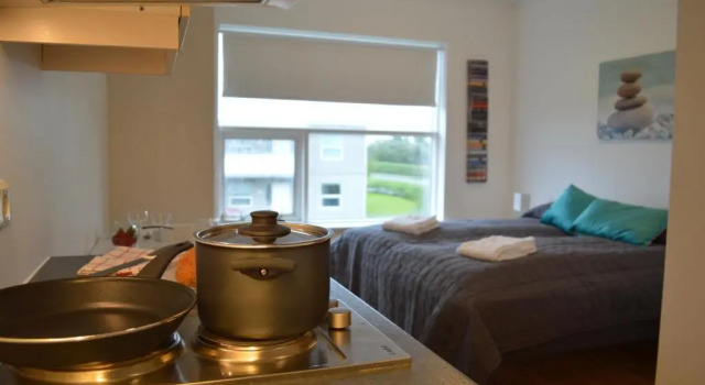 Студия Borg Apartments