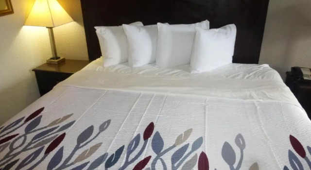 Номер Superior Red Roof Inn Evergreen