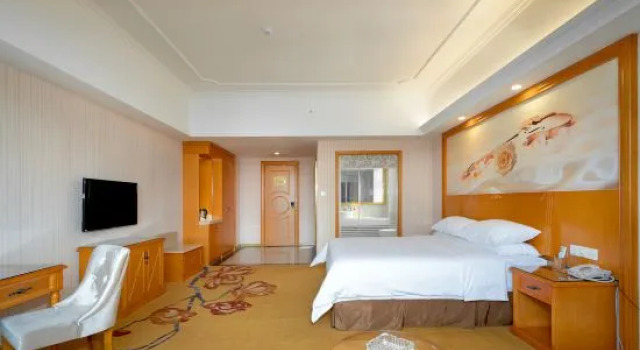 Люкс Deluxe Vienna Hotel Guangxi Tianyang Ancient City High-Speed Railway Station