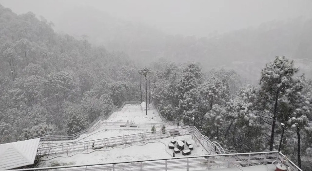 Номер Standard Kanishka Retreat Resort Chail