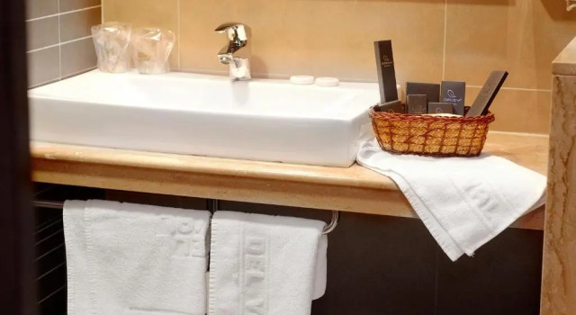 Двухместный номер Standard Hotel Del Val