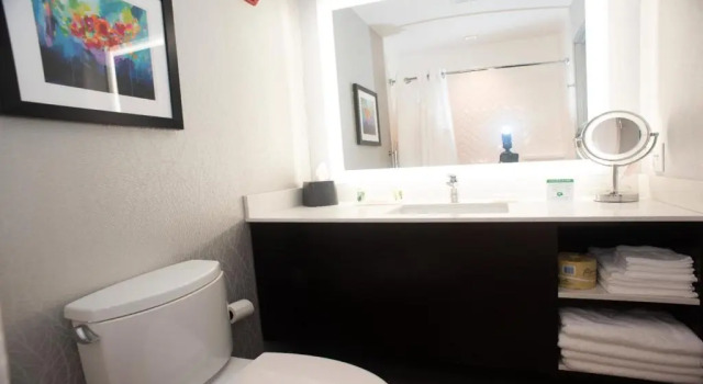 Четырёхместный номер Standard Holiday Inn Hotel & Suites - Joliet Southwest by IHG