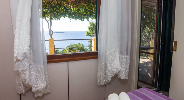 Holiday house Ani - 30 m from beach : Maslinica, Island Solta