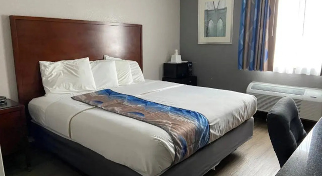 Номер Standard Travelodge Inn & Suites by Wyndham Albany