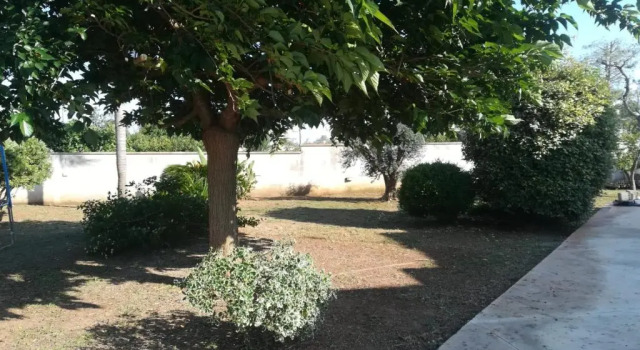 Студия Il Giardino degli Ulivi