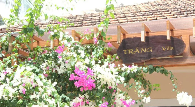 The Trang Villas