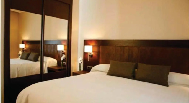 Двухместный номер Standard Hotel Villa de Aranda