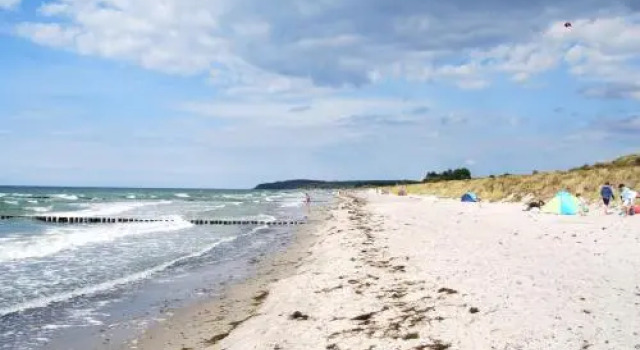 Pension Stranddistel, Rezervasyon Otel Gingst Rügen