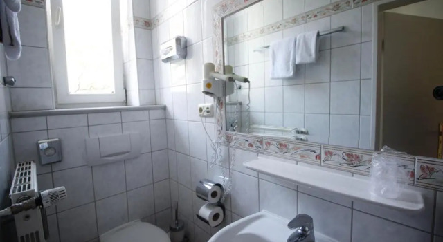Одноместный номер Standard Hotel Seibel