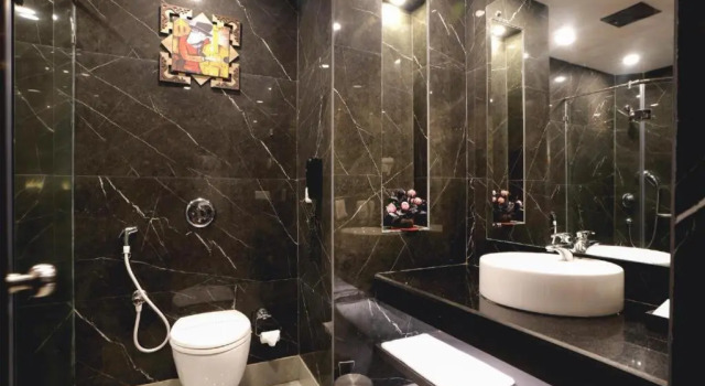 Двухместный номер Standard Hotel Pal Heights