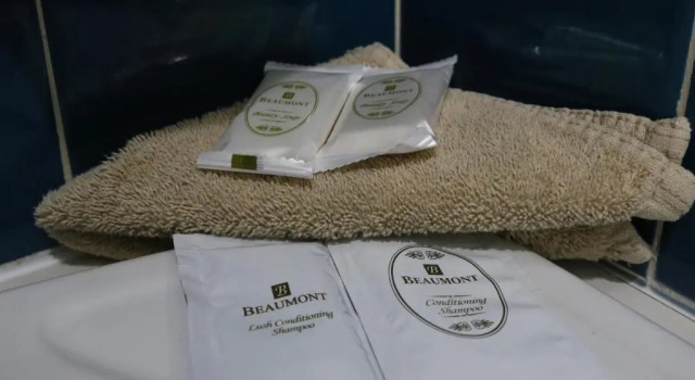Семейный номер Standard Hermitage Motel