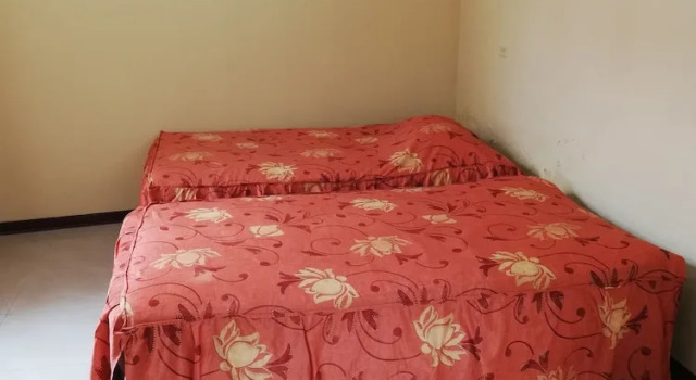 Кровать в общем номере La Quinta de Allison Hotel & Backpackers