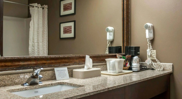 Четырёхместный номер Standard Quality Inn & Suites near St Louis and I-255