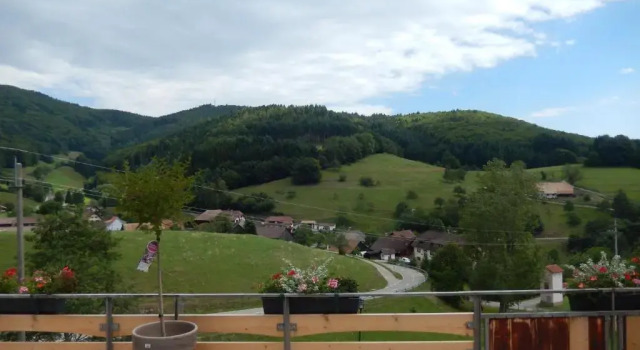 Номер Standard Hotel Landgasthof zum Pflug