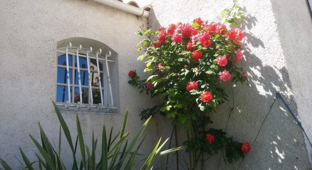 Villa Le Clos Fleuri, Book Hotel Hotels in Aude with Breakfast, Breakfasts