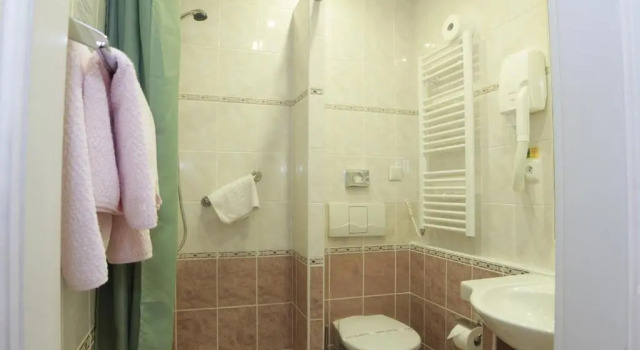 Двухместный номер Standard Hotel Pavlov