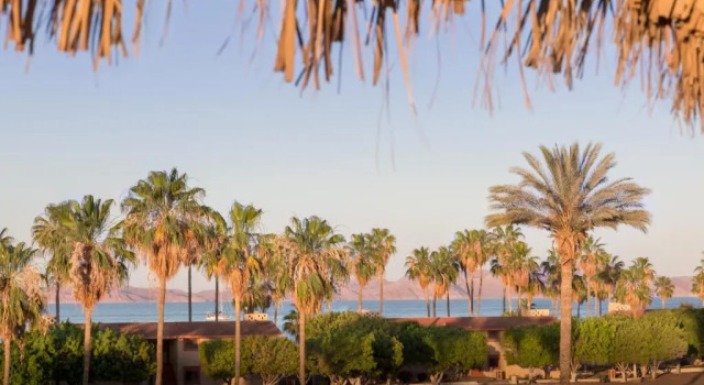 Номер Standard Пентхаус Loreto Playa Boutique Hotel