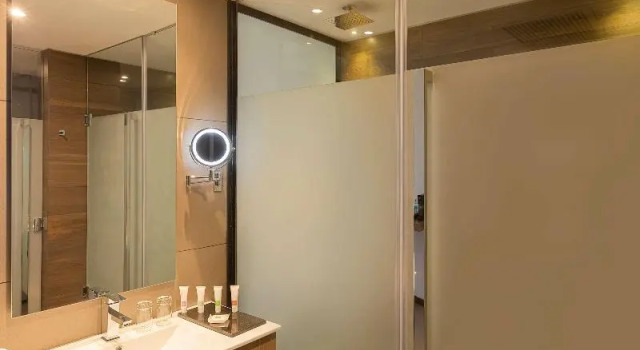 Двухместный номер Premier Swissotel Santa Cruz de La Sierra