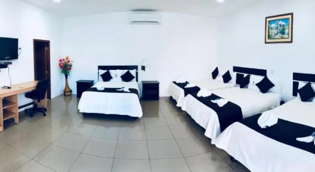 Четырёхместный номер Standard с видом на сад Blue Marlin Galápagos, Hotel & SPA