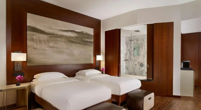 Люкс Park Corner с 2 спальнями Park Hyatt Zurich   City Center Luxury